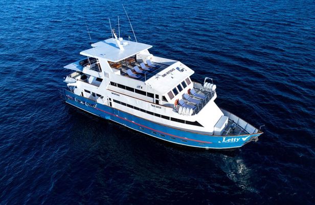 5 Days Private Cruise Tour to Galapagos Islands