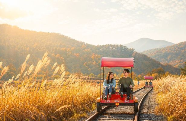 Nami Island & Railbike & Alpaca Garden Cafe