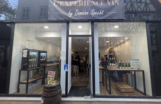 Wine and Gastronomy tasting in Colmar - The Signature Experience