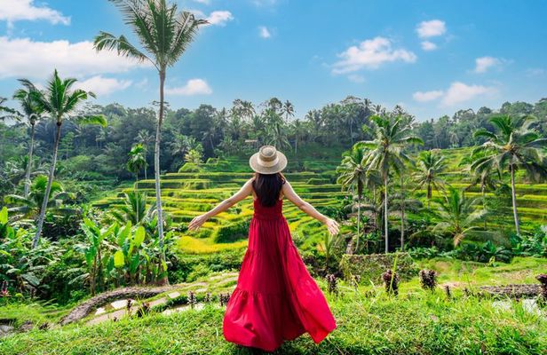 Ubud Private Day Tour with Local Guide