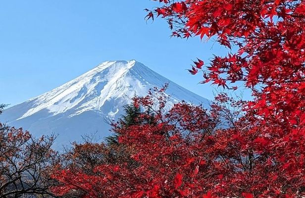 Mount Fuji Private Tour With pick up From Tokyo