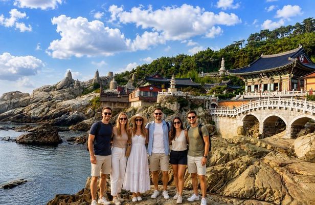 Busan Cruise Layover: Easy-Paced Highlights Tour(Max Guest 10pax)