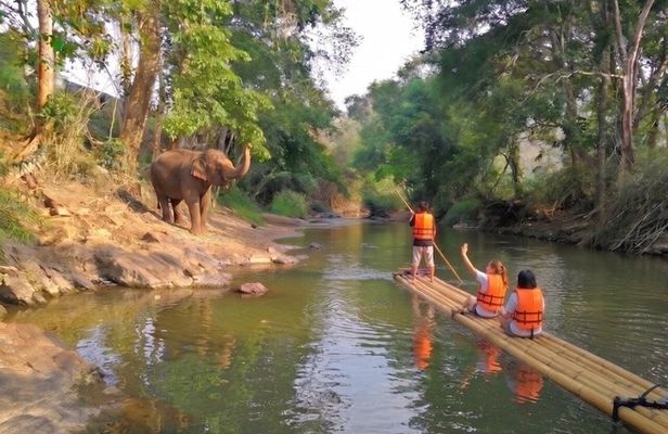 Elephant Sanctuary + Waterfall + Bamboo Rafting One Day Trip