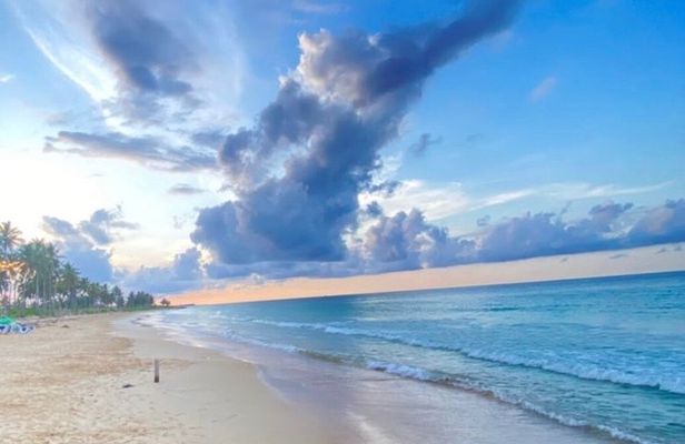 Punta Cana Horseback Riding & Macau Beach Experience