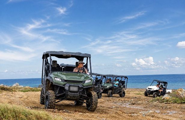 Aruba UTV & ATV Tour: Animal Garden, North Coast & Andicuri Beach