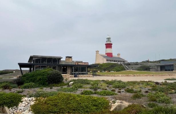 4 Day Garden Route Tour from Port Elizabeth to Cape Town