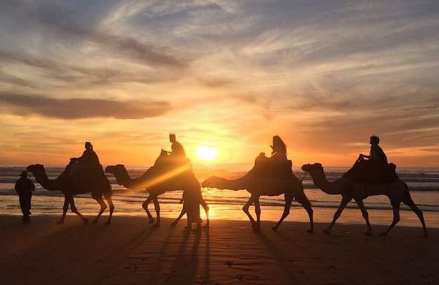 Sunset Barbecue Camel Ride from Agadir