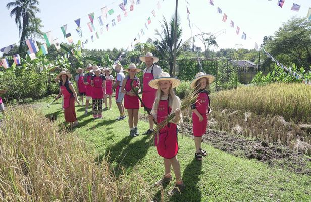 Organic Farm Thai Cooking Experience in Chiang Mai Market Tour