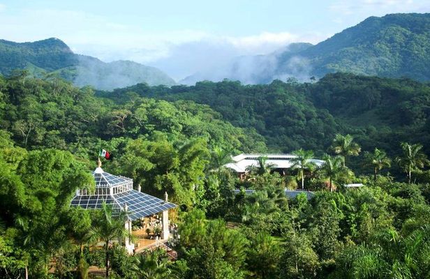 Official Vallarta Botanical Garden Tour with a Biologist