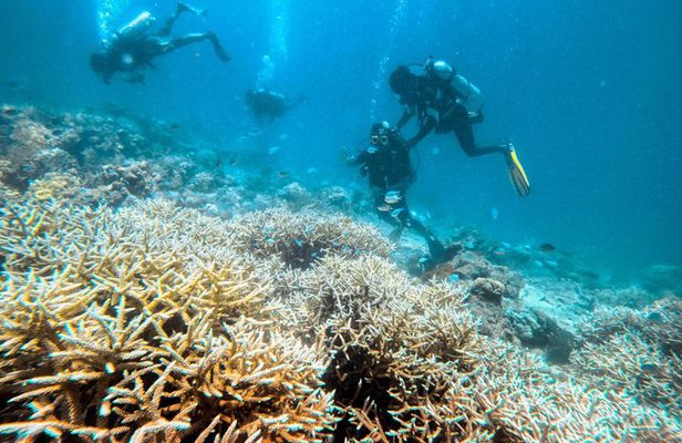 Scuba Diving For Non Swimmers with Experience Scuba