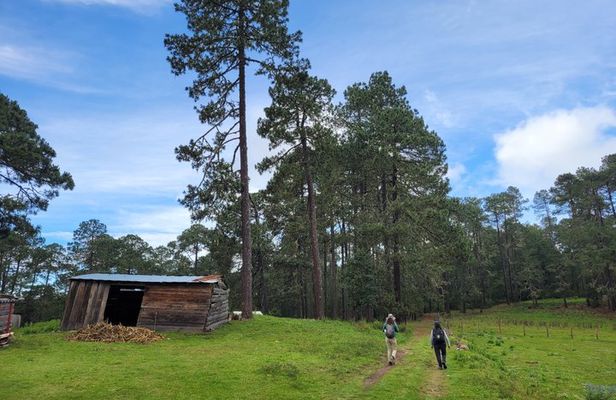 2 Days Sierra Norte Cloud Forest Adventure