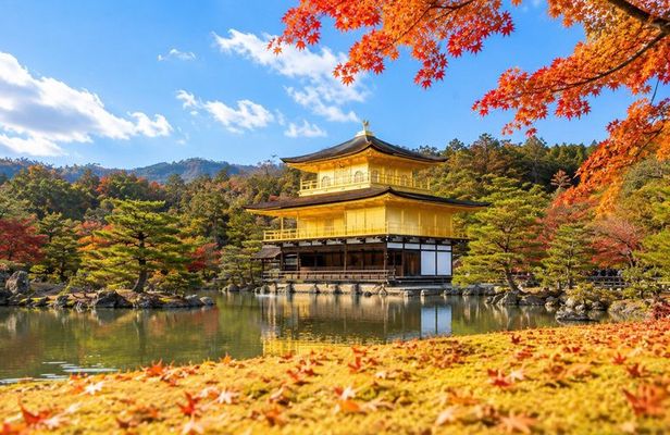 Kyoto and Nara 1-Day Bus Tour from Osaka or Kyoto