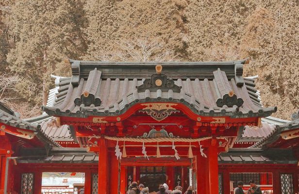 Private Tour to Mount Fuji and Hakone - A Personalized Experience