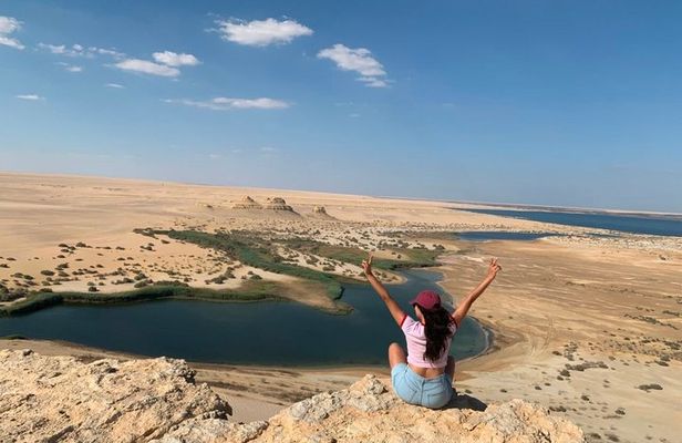 Private Fayoum Day Trip Whale Valley and Wadi El Rayan