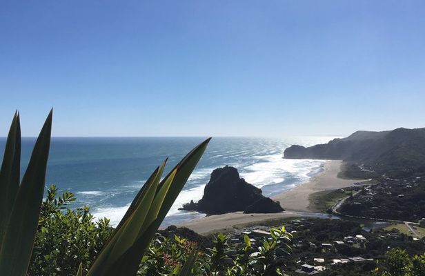 Piha Beach, Waterfall and Rainforest Tour from Auckland
