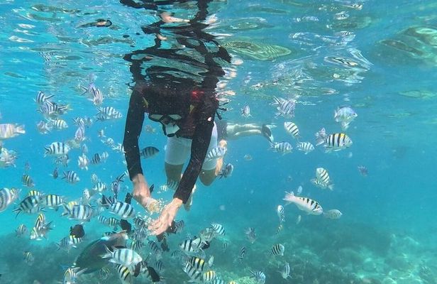 Nha Trang Half-Day Tour with Snorkeling and Seafoods