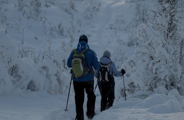 Tromsø: Explore Tromsøya on Snowshoes with a Local Guide