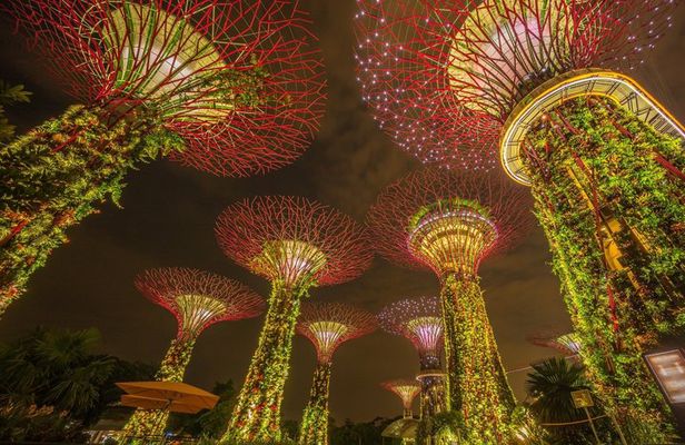 Gardens by the Bay Entry tickets with Parks Options