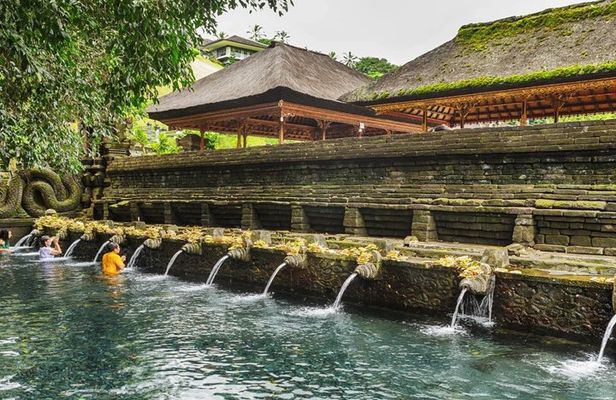 Ubud Private Tour with Rice Terrace Swing Temple Balinese Culture