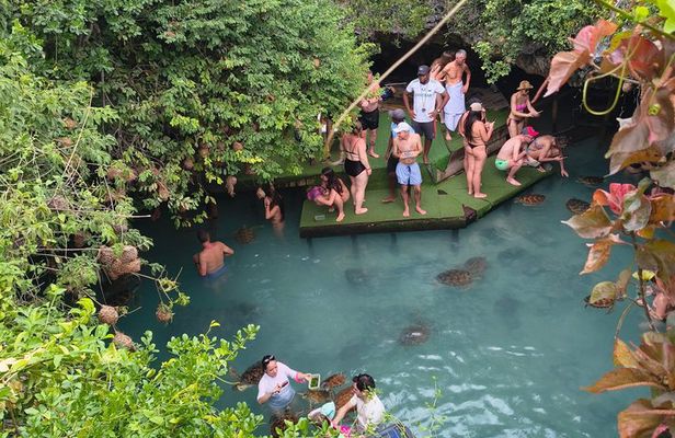 Zanzibar Hidden salam Cave Turtle Swim;Jozani Forest & Spice Farm