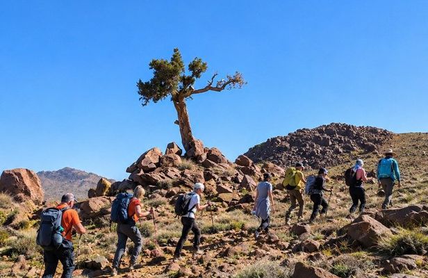 Saghro Mountains Trekking & Berber Experience