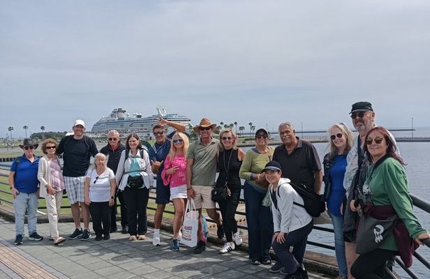 Kagoshima Cherry Blossom, Volcano & Wagyu Lunch Cruise Excursion