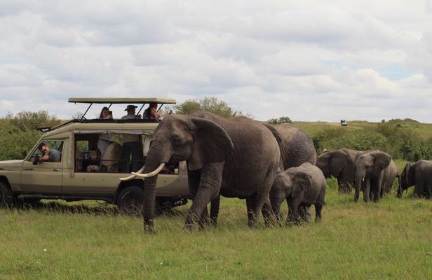 Full Day Tsavo East Safari from Mombasa with Lunch