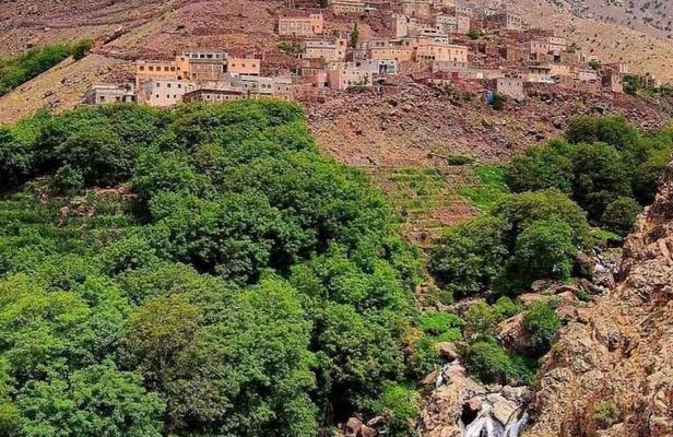 Private 3 Valleys Day Trip from Marrakech: Ourika & Asni