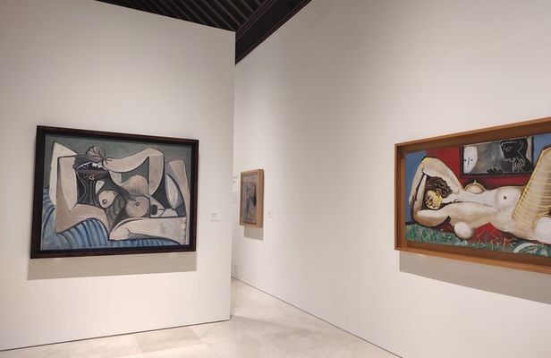 Guided tour without queues Picasso Museum Málaga + Picasso Birthplace