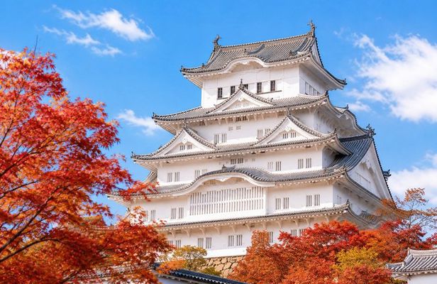 Himeji Castle, Arima Onsen & Mt. Rokko: 1-Day Bus Tour from Osaka