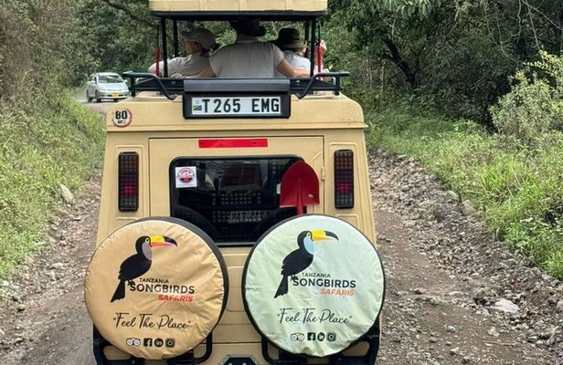 5 Day Serengeti and Ngorongoro Unforgettable Great Safari