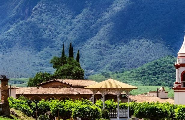 Private Express Charter from Guadalajara (Pet-Friendly)