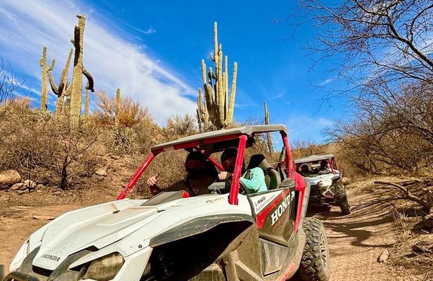 1:30 PM Desert Off-Road UTV Tour, 2 hours, 2 people per vehicle