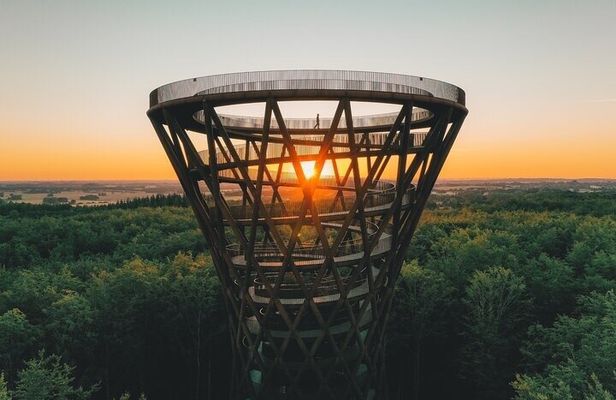 The Forest Tower and Forgotten Giants-A day tour from Copenhagen