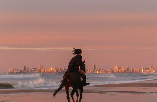 Oceanfront Sunrise Horseback Ride in Mar del Plata