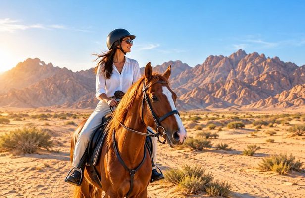 Sharm El Sheikh, 1 Hour Scenic Desert Horse Ride with Transfers