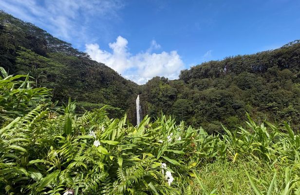 The Pele Express HONU & HILO: Turtles & Waterfalls Tour
