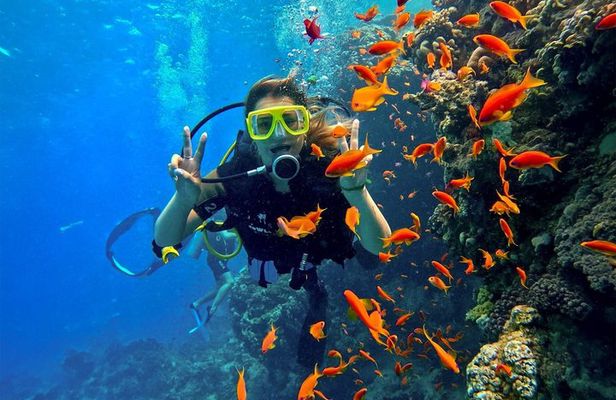 Mirissa Premium Scuba Diving for Beginners and Certified Divers
