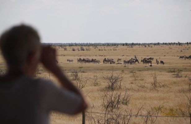 3 Day Private Safari to Tarangire and Ngorongoro from Moshi