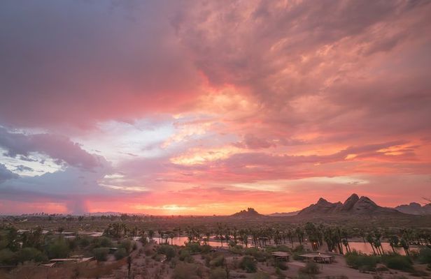 Phoenix Sights & Stories Sunset Tour: Downtown & Papago Park