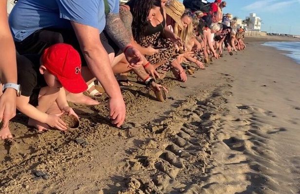 Mazatlan Baby Sea Turtle Conservation Encounter and Beach Day