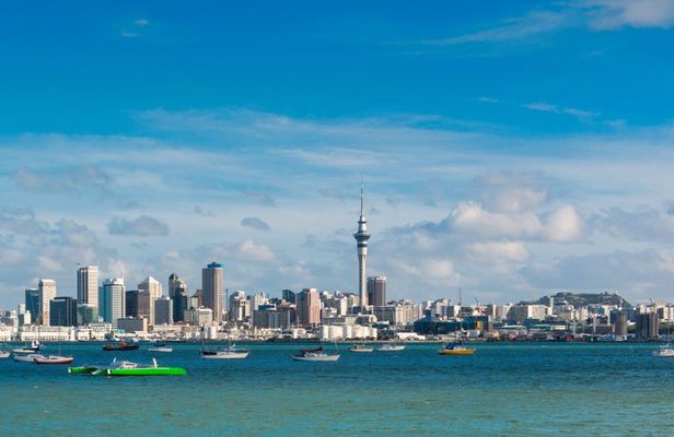 Private Full Day Tour of Auckland from Coast to Coast