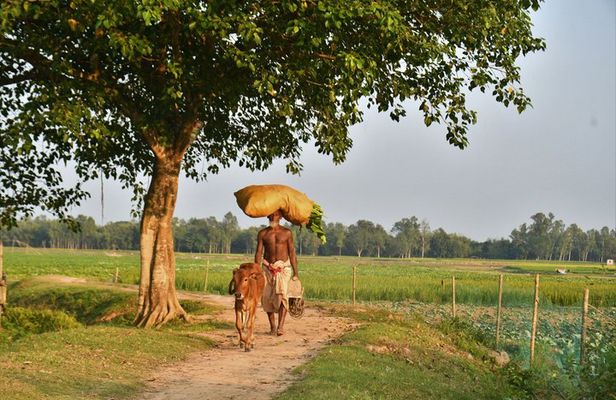 Local Train Journey & Village Life from Delhi