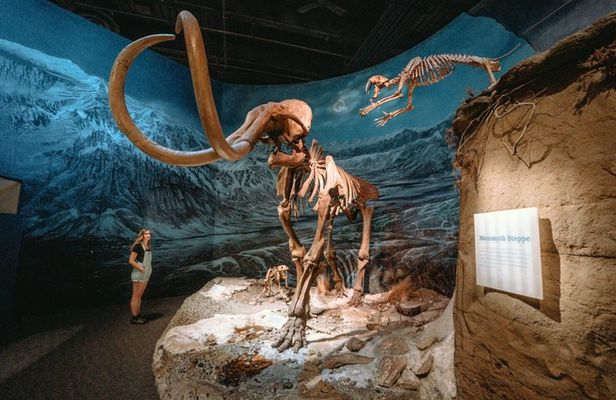 Drumheller with Royal Tyrrell Museum, Dinosaurs & Hoodoos