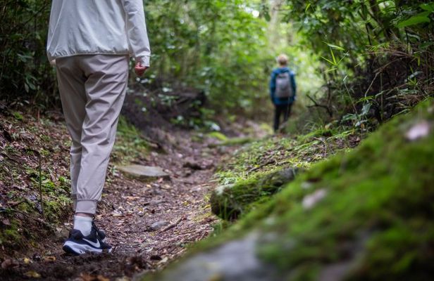 Hakone Zen Walking Tour Following 1,000 Years of Footsteps