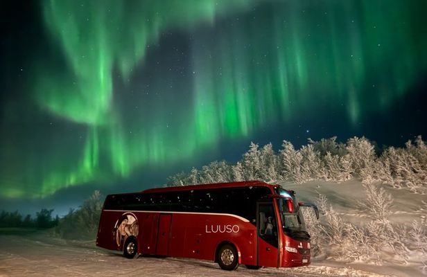 Northern Lights Chase in Alta, Norway with Local Guide