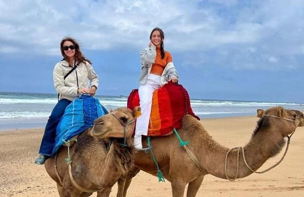 Luxury Private Tour of Tangier from Marbella All Inclusive