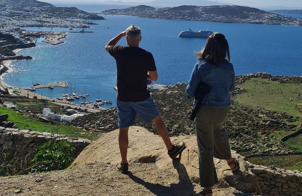 The Original Mykonos Private Tour with a Local