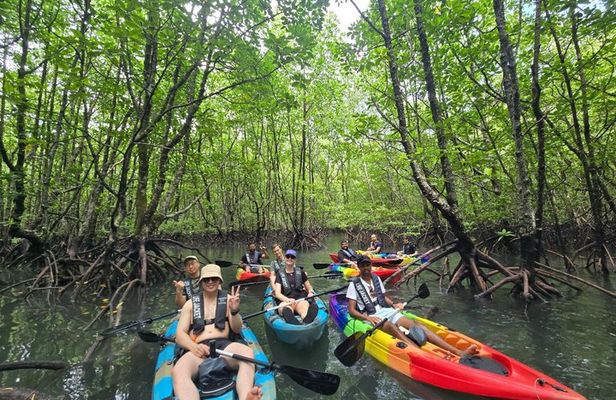 Langkawi : Kilim Geoforest Park Mangrove Kayak Tour with Lunch