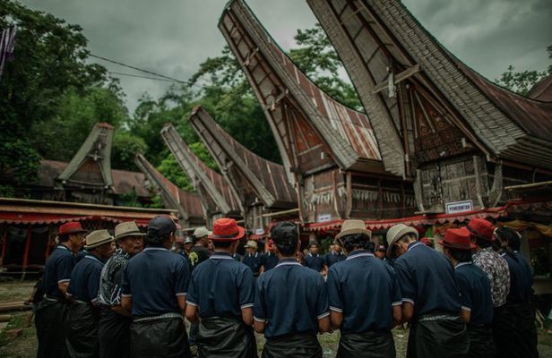 Culture Tours 3 Days 2 Night Toraja